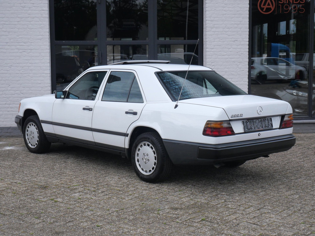 54146368-1.jpg